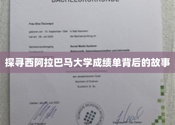 揭开西阿拉巴马大学成绩单背后的故事