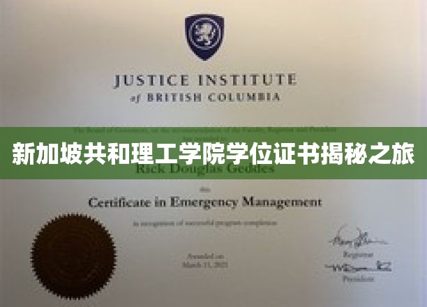 解码新加坡共和理工学院，学位证书背后的故事探秘