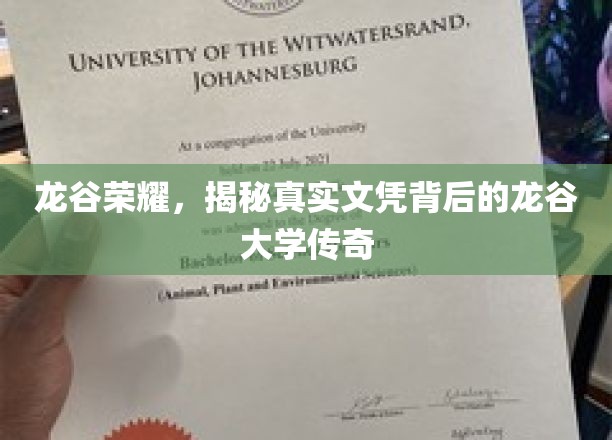 龙谷秘境，探寻真实文凭背后的传奇学府之谜
