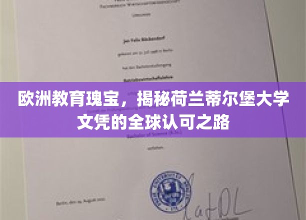 跨越欧洲的教育明珠，荷兰蒂尔堡大学文凭的全球通行证之谜