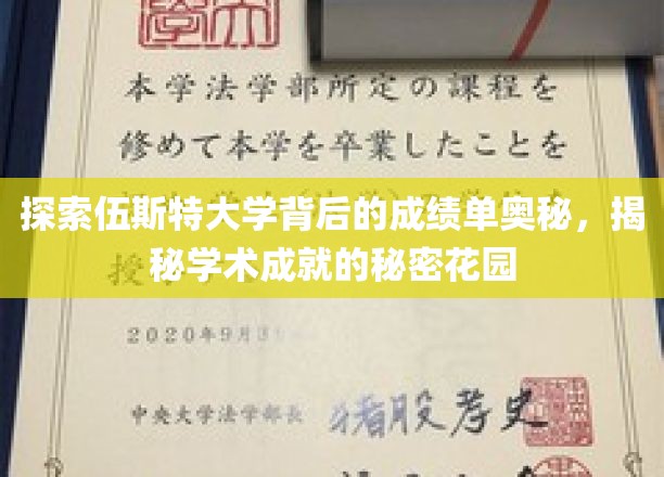 解码伍斯特大学，揭秘成就背后的学术瑰宝