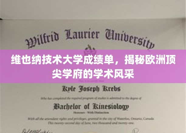 探寻维也纳技术大学，欧洲顶级学府的学术魅力全景