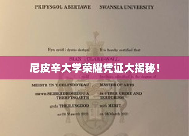 尼皮辛大学神秘荣耀凭证大揭秘，揭秘背后的传奇故事