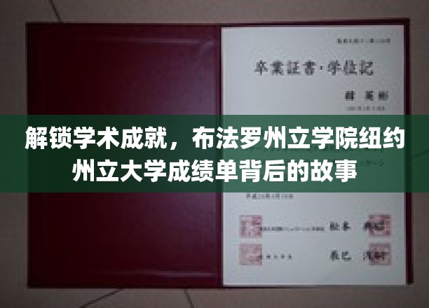 探索学术巅峰，揭秘布法罗州立学院与纽约州立大学成绩单背后的辉煌历程