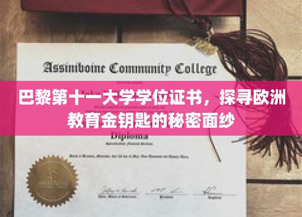 解码巴黎第十一大学，揭开欧洲教育精英证书的神秘面纱
