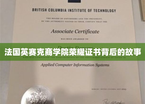 法国英赛克商学院，探寻荣耀证书背后的非凡历程