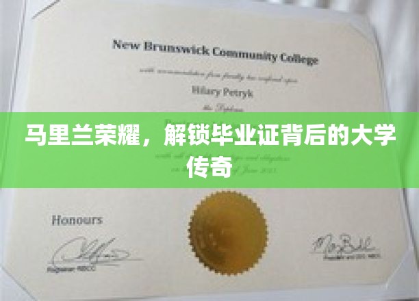 马里兰荣耀，解锁毕业证背后的大学传奇