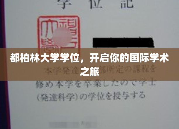 跨国学术启航，都柏林大学学位，解锁全球学术之门