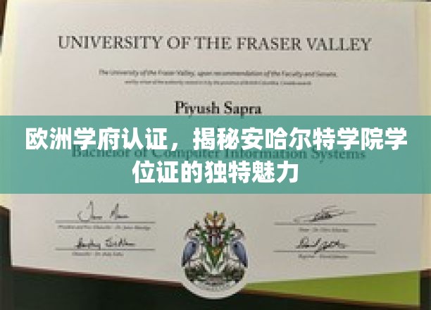 欧洲名校认证下的安哈尔特学院，学位证的非凡光环与独特价值