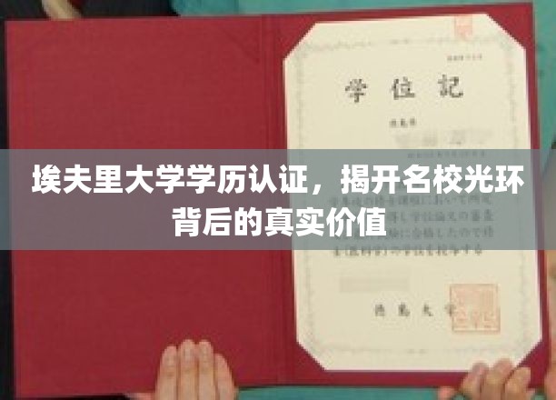 解码埃夫里大学学位，名校光环背后的真实含金量