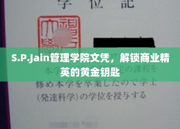 商业精英的崛起之路，S.P.Jain管理学院文凭，开启成功之门