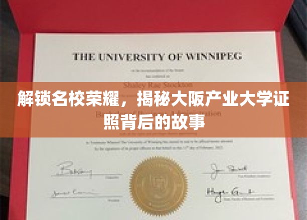 名校之光，揭秘大阪产业大学学子背后的辉煌证照之路
