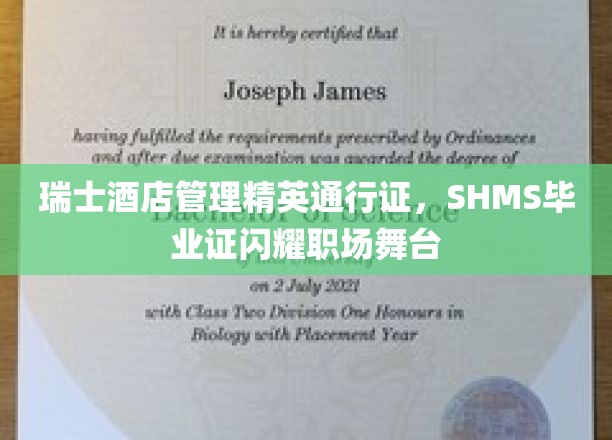 瑞士酒店管理学府荣耀凭证，SHMS毕业生在职场熠熠生辉