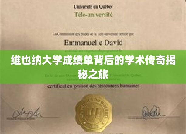 探寻维也纳大学成绩单背后的学术奥秘之旅