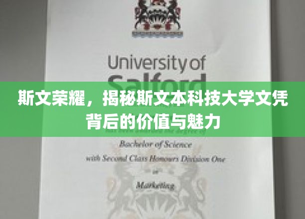 探寻斯文本科技大学文凭的非凡价值与独特魅力