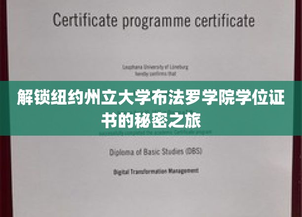 解锁纽约州立大学布法罗学院学位证书的秘密之旅