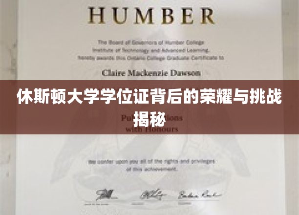 休斯顿大学学位证，荣耀之路上的艰辛探索