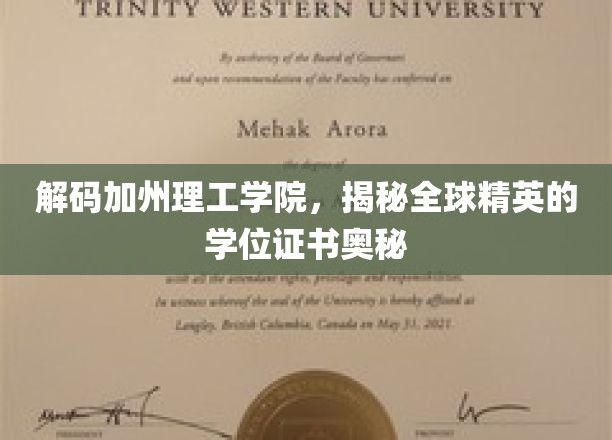解码加州理工学院，揭秘全球精英的学位证书奥秘