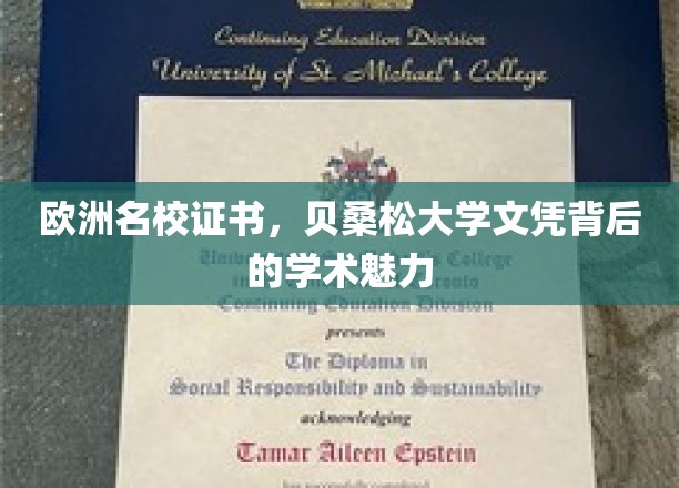 欧洲名校证书,贝桑松大学文凭背后的学术魅力