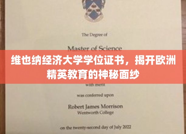 探索维也纳经济大学，揭秘欧洲精英教育的卓越典范