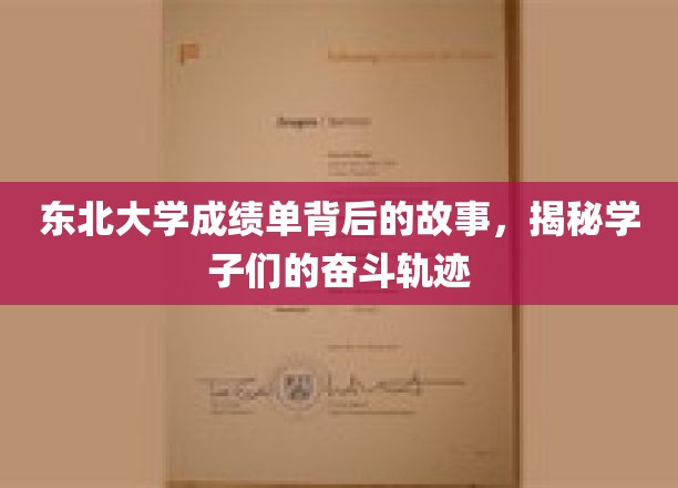东北大学成绩单背后的故事，揭秘学子们的奋斗轨迹