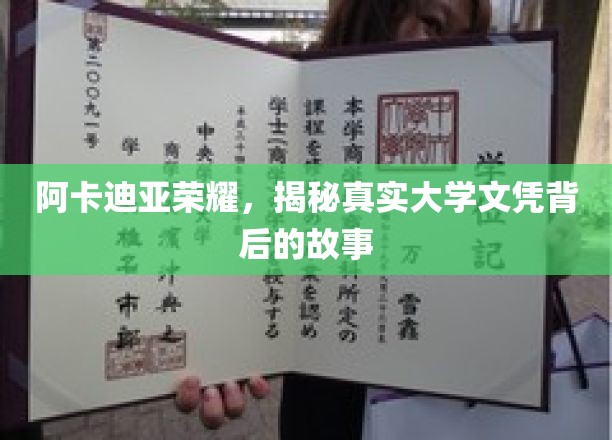 阿卡迪亚荣耀揭秘，文凭背后的真实大学传奇