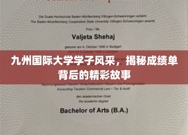 九州英才录，大学风云榜背后的青春传奇