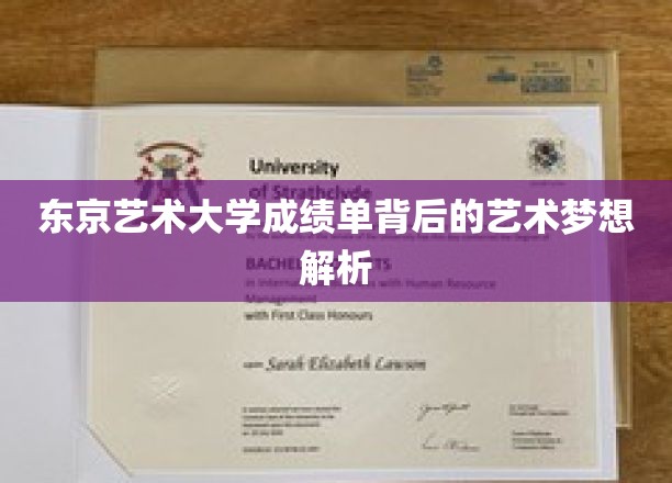 东京艺术大学成绩单背后的艺术梦想解析