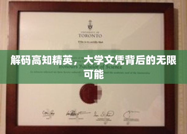 探寻高知精英，大学文凭背后的广阔天地