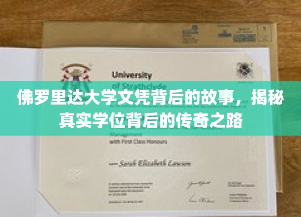 佛罗里达大学文凭的神秘面纱，一探传奇学位背后的真实历程