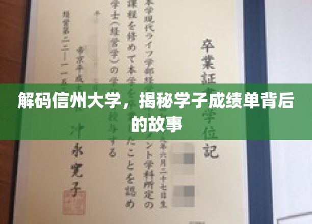 探寻信州大学学子成绩单背后的辉煌轨迹