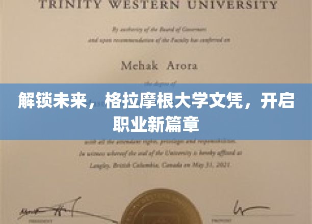 格大文凭领航，成就非凡职场新纪元