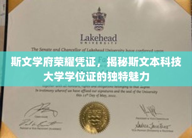 斯文之巅，揭秘斯文本科大独特学位证的荣耀密码