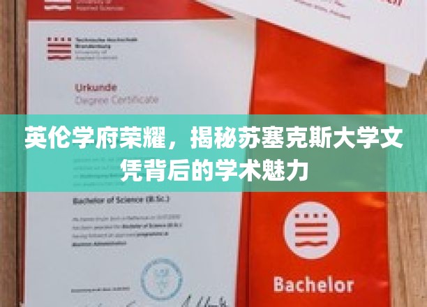 探寻苏塞克斯大学文凭背后的英伦学术传奇