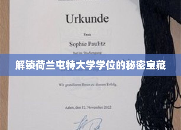 解锁荷兰屯特大学学位的秘密宝藏