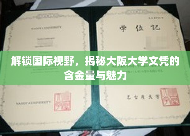 解锁国际视野，一探究竟：大阪大学文凭的含金量与独特魅力
