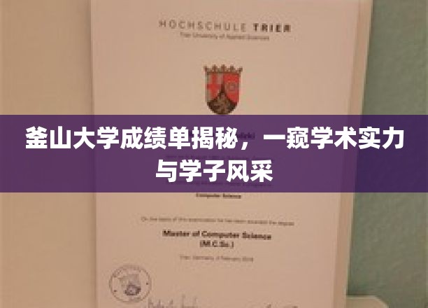 釜山大学学子风采大揭秘，成绩单背后的学术实力一览