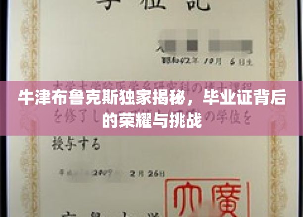 牛津布鲁克斯独家揭秘，毕业证背后的荣耀与挑战