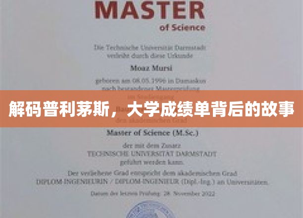 揭秘普利茅斯大学，探寻成绩单背后的精彩人生