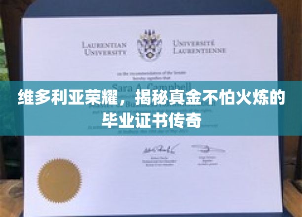 维多利亚荣耀，揭秘真金不怕火炼的毕业证书传奇