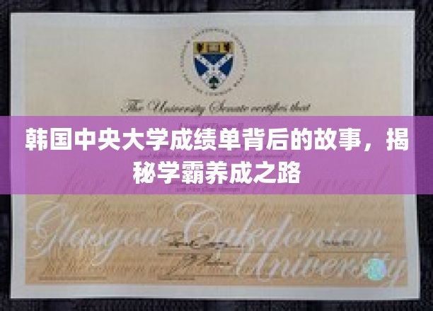 揭开韩国中央大学学霸养成记，成绩单背后的成长历程
