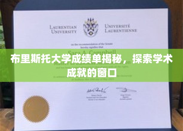 揭开布里斯托大学成绩单的秘密，透视学术辉煌的钥匙
