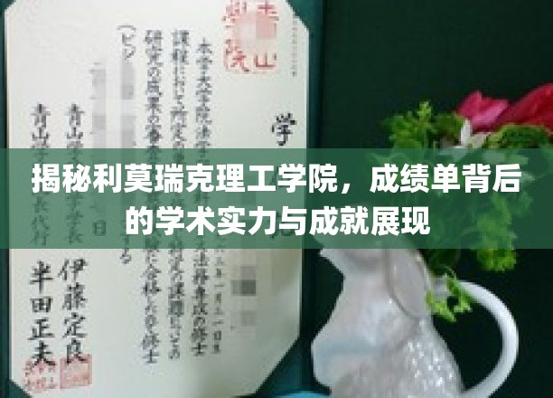 利莫瑞克理工学院，揭秘学霸背后的学术奇迹与辉煌成就