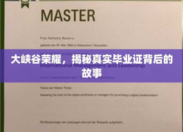 峡谷荣耀解码，毕业证背后的传奇历程