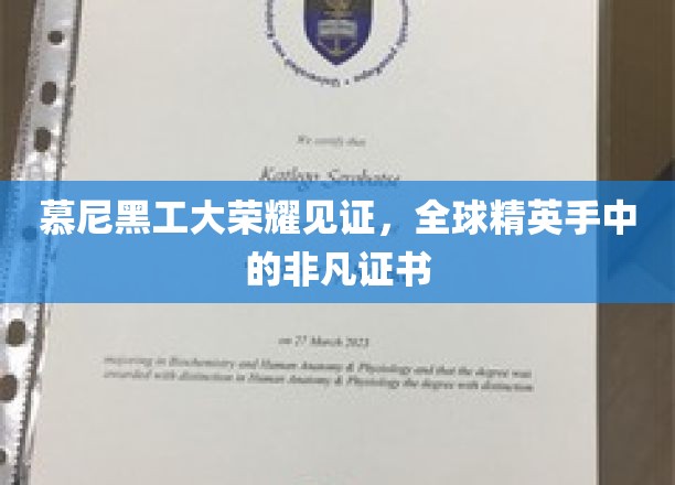 慕尼黑工大卓越认证，世界精英掌握的荣耀通行证