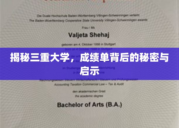三重大学：探索成绩单背后的秘密与启示
