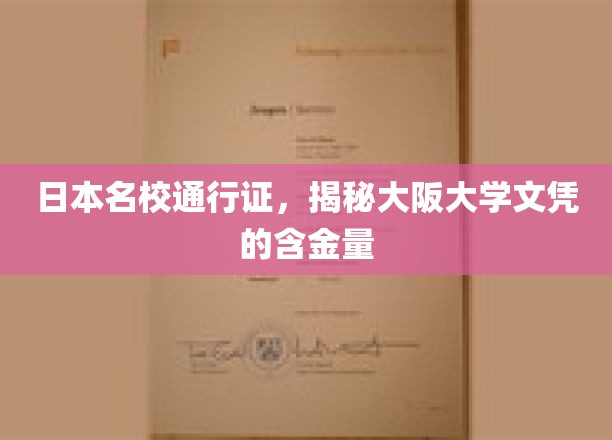 日本顶尖学府通行证，一探大阪大学文凭的黄金价值