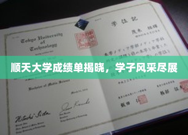 顺天学子成就榜，辉煌成绩单背后的青春足迹