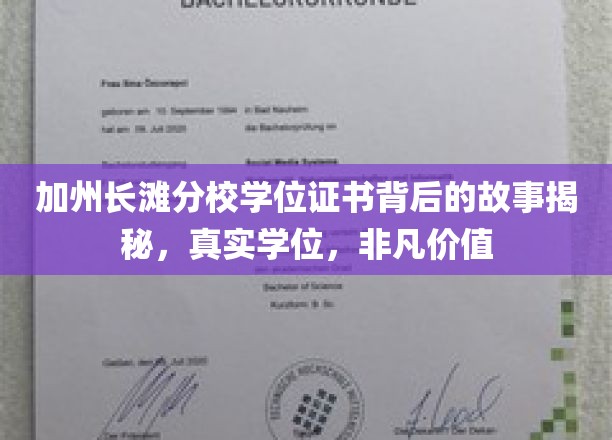 长滩分校学历认证背后的传奇，揭开真实学位的非凡价值面纱