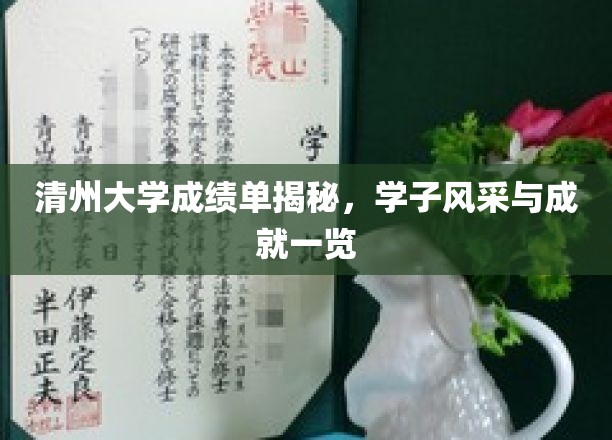 清州大学成绩单揭秘，学子风采与成就一览